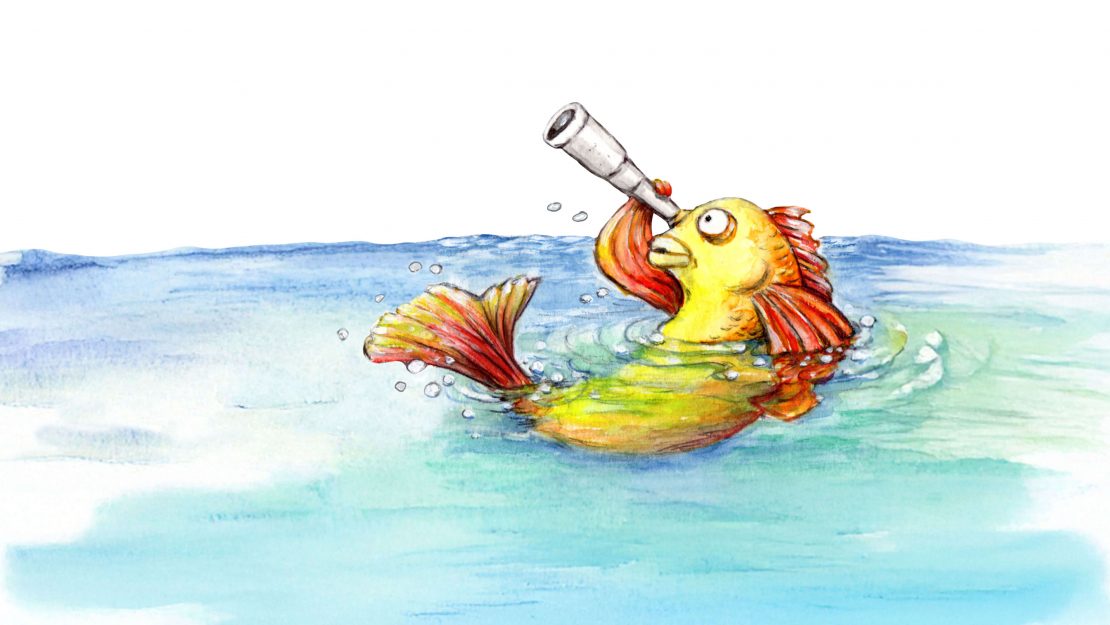 NVB Theater I Fisch sucht Fahrrad